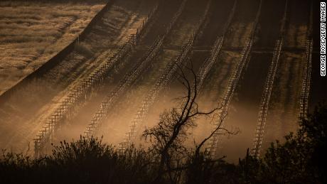 Southern California businesses and residents are asked to reduce outdoor watering as drought leaves &#39;half the water that we need&#39; for summer