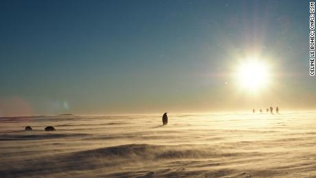 This is what the end of a long workday looks like in Atka Bay.