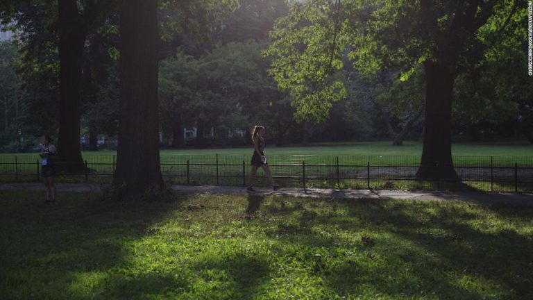 Forest bathing could be the key to feeling better