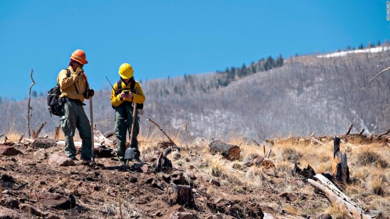 4 million in the Southwest face an ‘extremely critical’ fire danger today as strong winds hit region