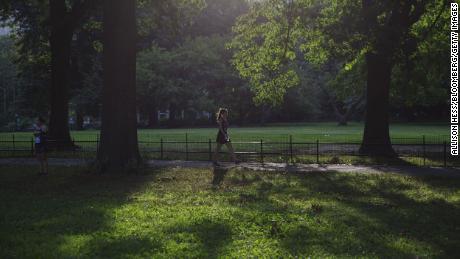 All it takes to forest bathe is time in nature and focused attention, experts said.