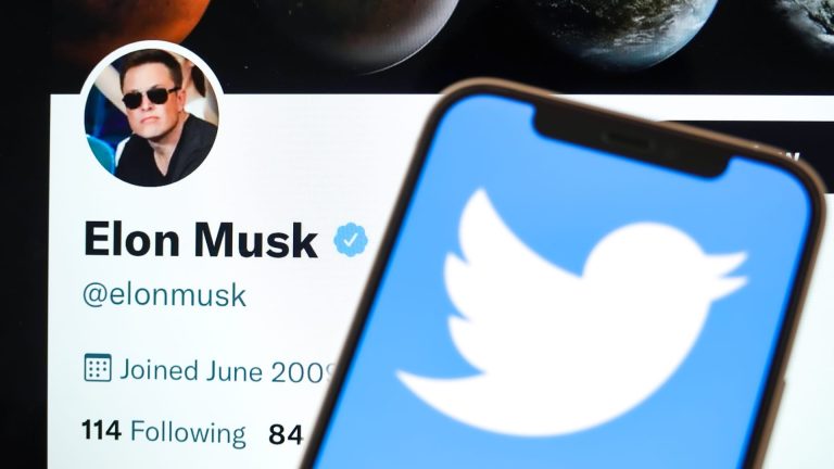 Twitter shareholders sue Elon Musk and Twitter over chaotic deal