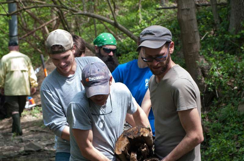 Biologists examine low-cost ways to improve urban streams