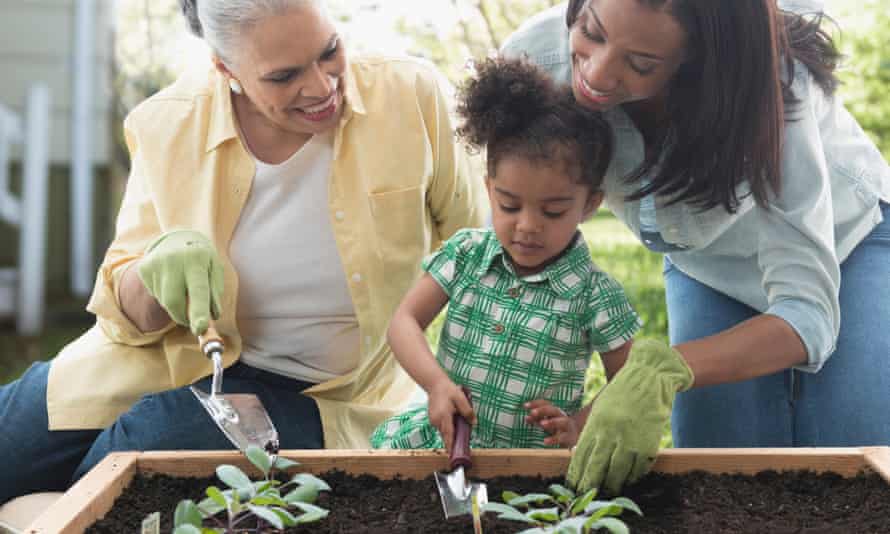 Three generations of women gardening together in back yard