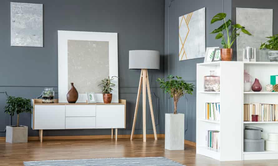 Living room with plants, paintings on the walls and a rug.