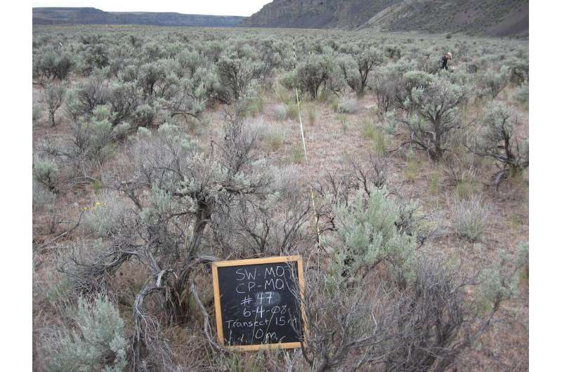 Study provides long-term look at ways to control wildfire in sagebrush steppe ecosystem