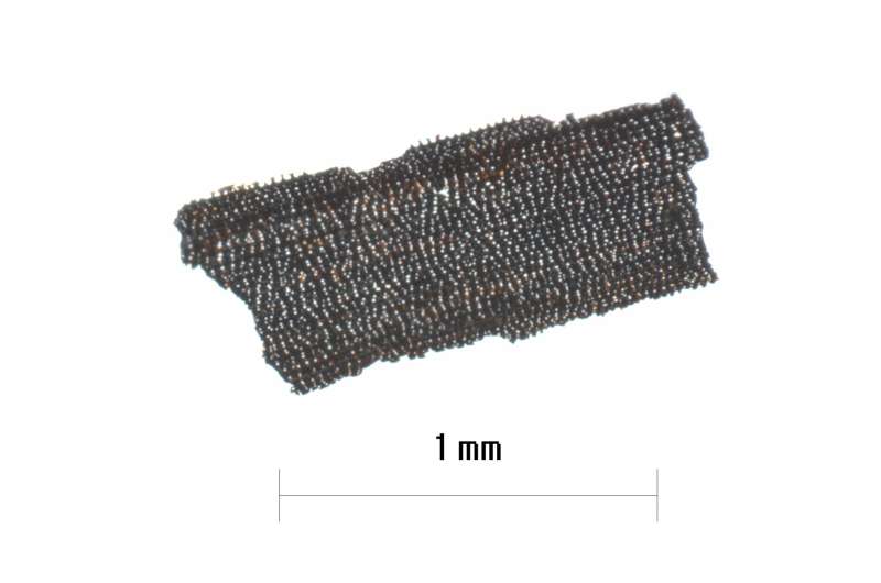 Evidence of slash-and-burn cultivation during the Mesolithic