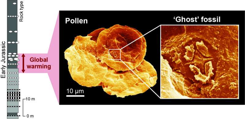 Discovery of 'ghost' fossils reveals plankton resilience to past global warming events