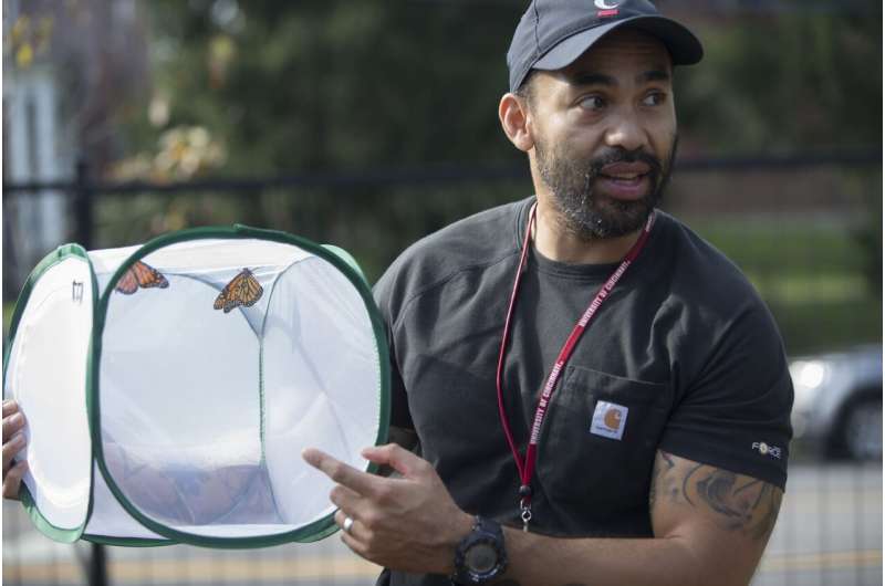 Light pollution can disorient monarch butterflies