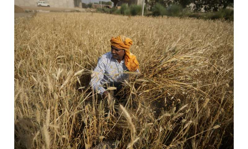 South Asia's intense heat wave a 'sign of things to come'