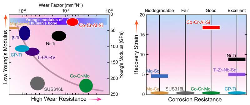 New flexible and tough superelastic metal alloy shows promise in biomedical applications