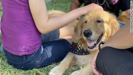 A young girl spends time with a comfort dog in Uvalde.