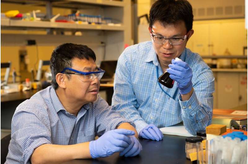 New artificial enzyme breaks down tough, woody lignin