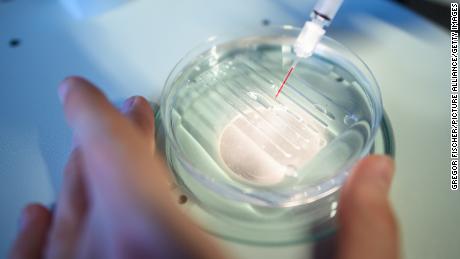 A researcher performs a CRISPR-Cas-9 process at the Max-Delbrueck-Centre for Molecular Medicine in Berlin.