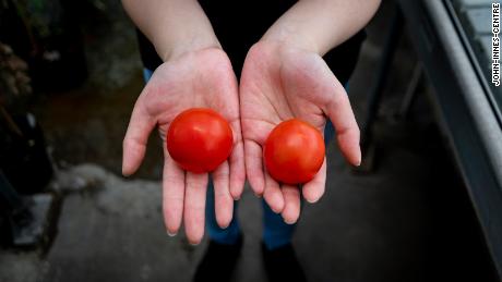 Scientists have unlocked the vitamin D potential of tomatoes, study says