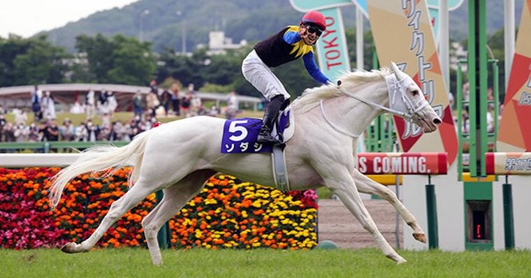 A Rare Kind of Filly Is Thrilling Racing Fans in Japan