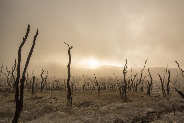 4 signs of progress at the UN climate change summit