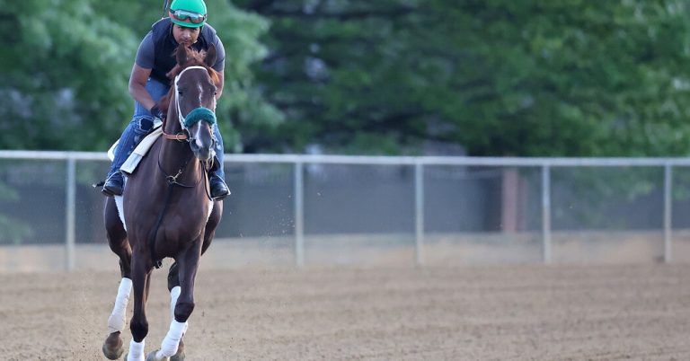 Preakness Stakes Horse Race: Start Time, How to Watch and What to Know