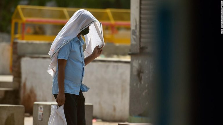 India and Pakistan swelter in ‘unprecedented’ heatwave as climate crisis dials up temperature