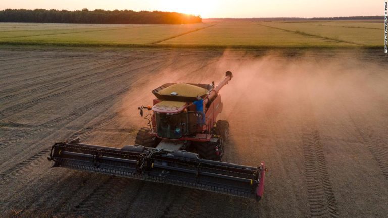 Soybean farmers are still targeted by Chinese tariffs 4 years later