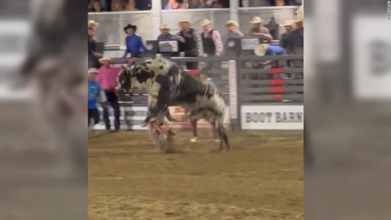 Rodeo bull jumps fence and causes commotion