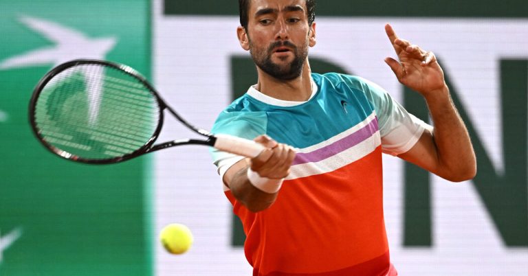 Cilic Delivers Latest French Open Surprise, Beating Medvedev