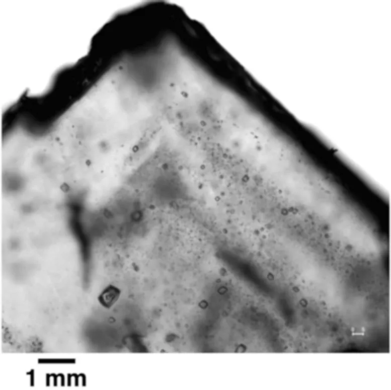 Fluid Inclusions in Halite