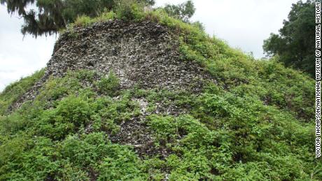 A massive shell mound at the Crystal River site in Florida is shown. 