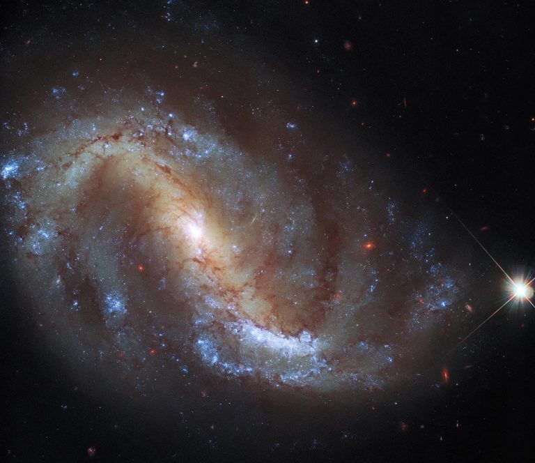 Hubble Space Telescope Goes Galactic Birdwatching