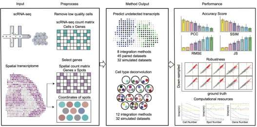 Researchers benchmark transcriptomics integration methods for transcript distribution prediction and cell type deconvolution