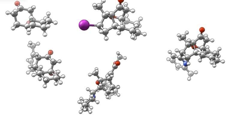 Chemists synthesize psychotropic compound from rainforest tree