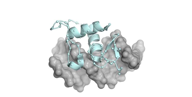 Genetic predictability steadily erodes during evolution, new study shows