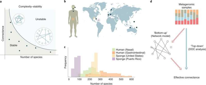 How diverse microbial communities remain stable