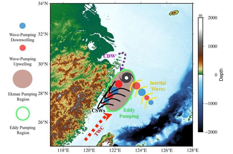 How do typhoons trigger coastal algal blooms?