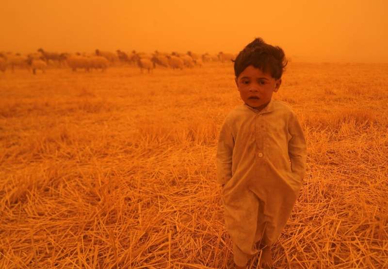 A Bedouin child walks alongside a flock of sheep in the al-Henniyah area outside Najaf, during a sandstorm sweeping Iraq