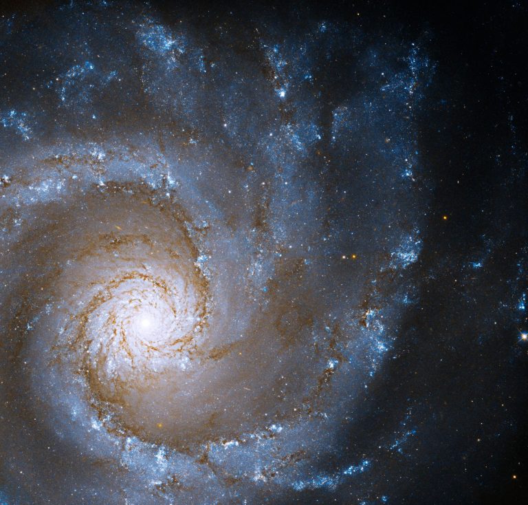 Hubble Captures Magnificent Grand Spiral Galaxy Face-On