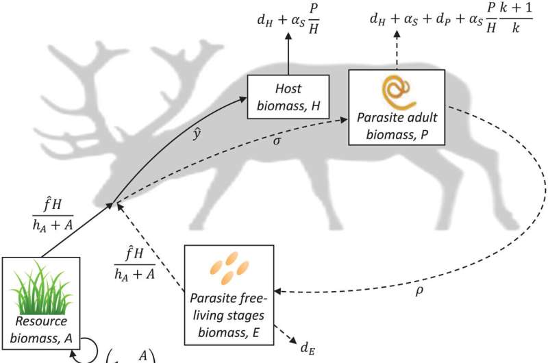 Nonlethal parasites reduce how much their wild hosts eat, leading to ecosystem effects