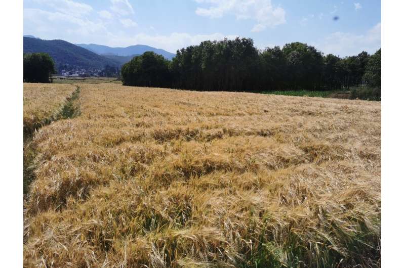 Meteorological mechanisms behind severe drought in southwestern China during spring 2021 differ from similar historical events