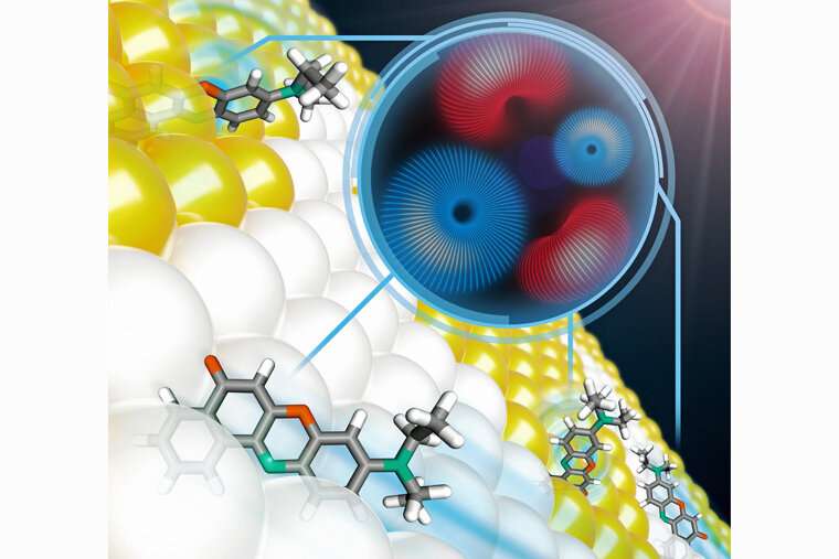 Lew lab sheds new light on cell membranes