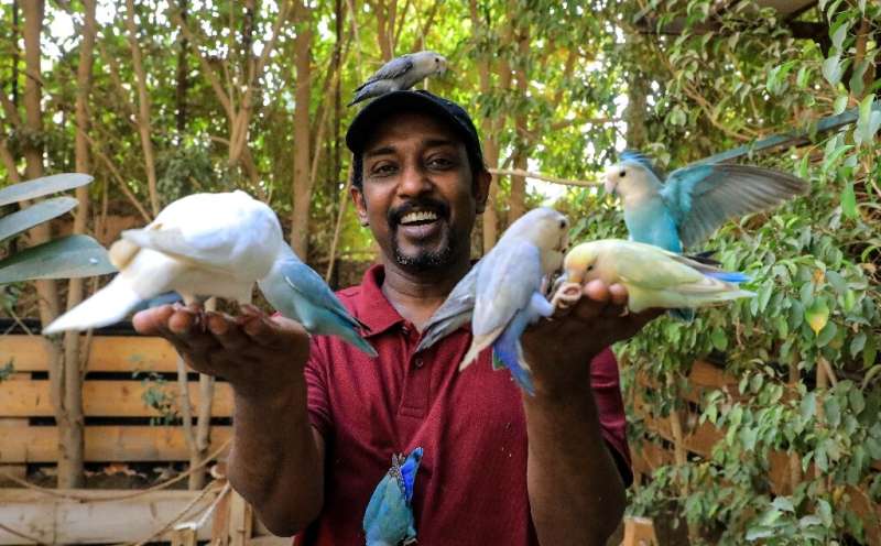 Tucked away east of Sudan's capital, the Marshall Nature Reserve has been a haven for dozens of exotic birds from far and wide