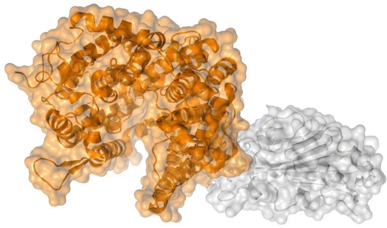 How Three Mutations Work Together To Spur New COVID-19 Variants