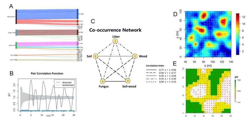 Topography and soil pH steer the activity-density and spatial distribution of termites in a fine-scale study