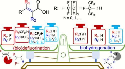 Under anaerobic conditions, common microbial communities can break the ultra-strong carbon-fluorine bond