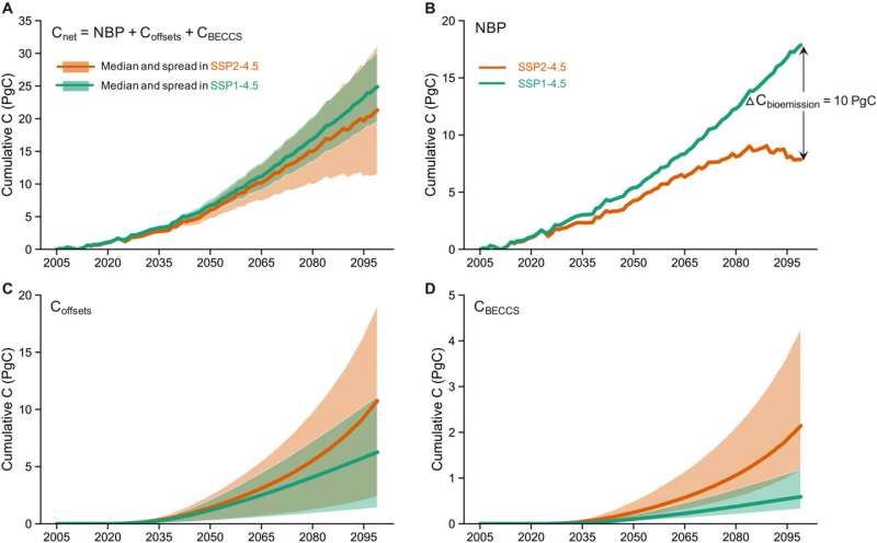 Using bioenergy crops versus reforesting shows crop expansion could lead to water shortages