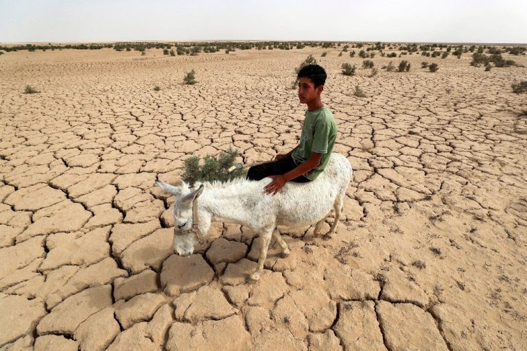 Key Iraq irrigation reservoir close to drying out