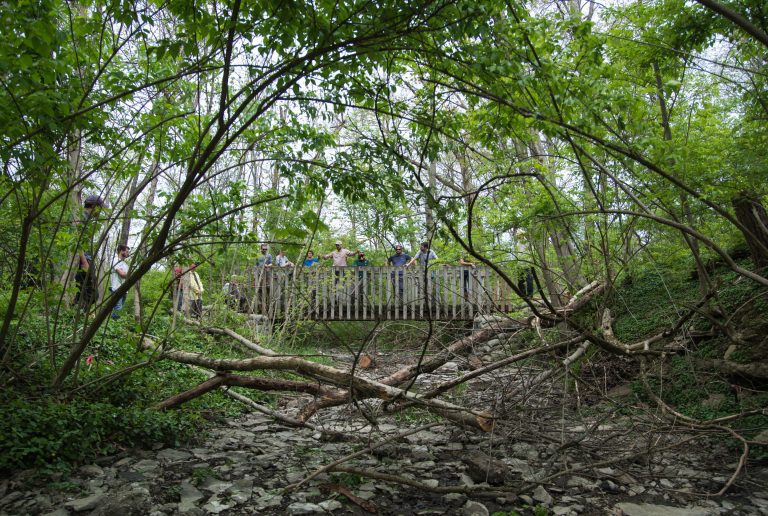 Biologists examine low-cost ways to improve urban streams