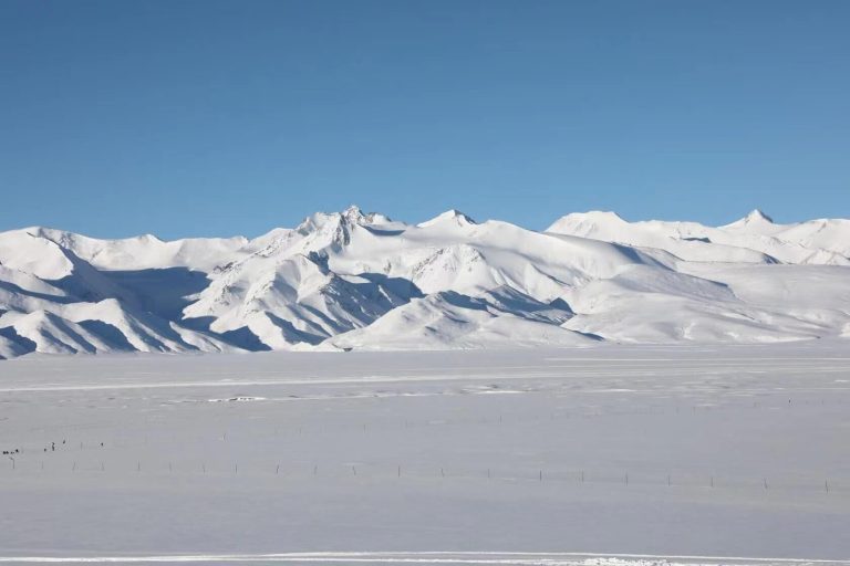 Discovery of a tripole winter precipitation change pattern around the Tibetan Plateau in the late 1990s