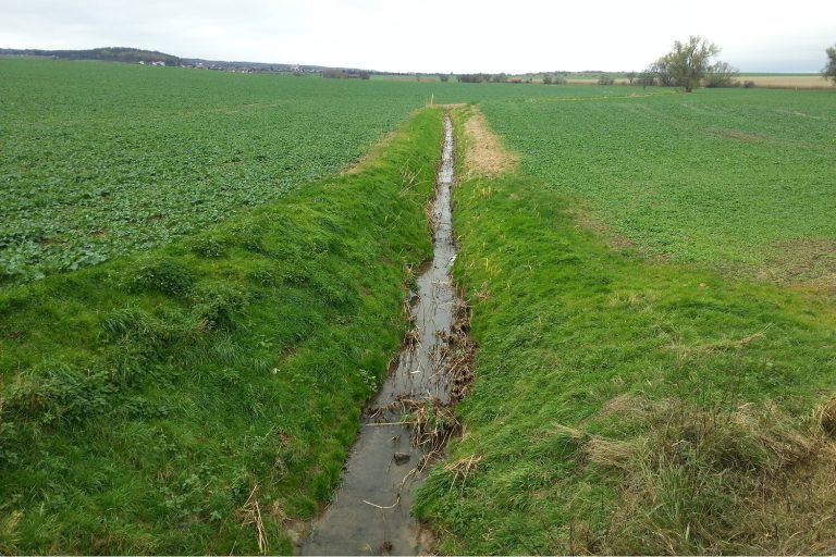 Ecological functions of streams and rivers severely affected globally