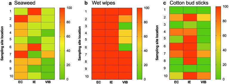 Harmful bacteria survive on wet wipes washed up on beaches, study finds