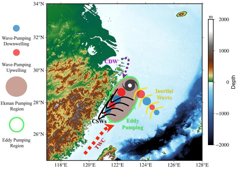 How do typhoons trigger coastal algal blooms?